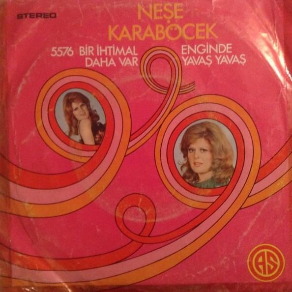Cover image for Bir İhtimal Daha Var / Enginde Yavaş Yavaş – Single