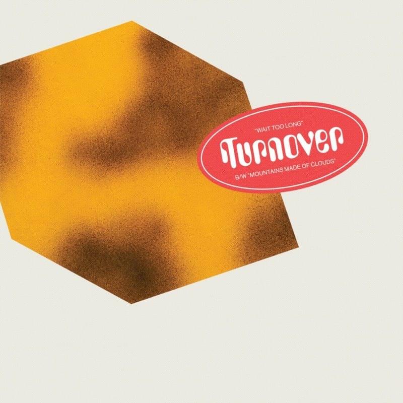 Album cover art for "Wait Too Long" by Turnover