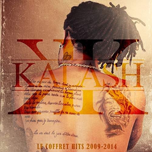 Cover image for Le coffret hits 2009-2014