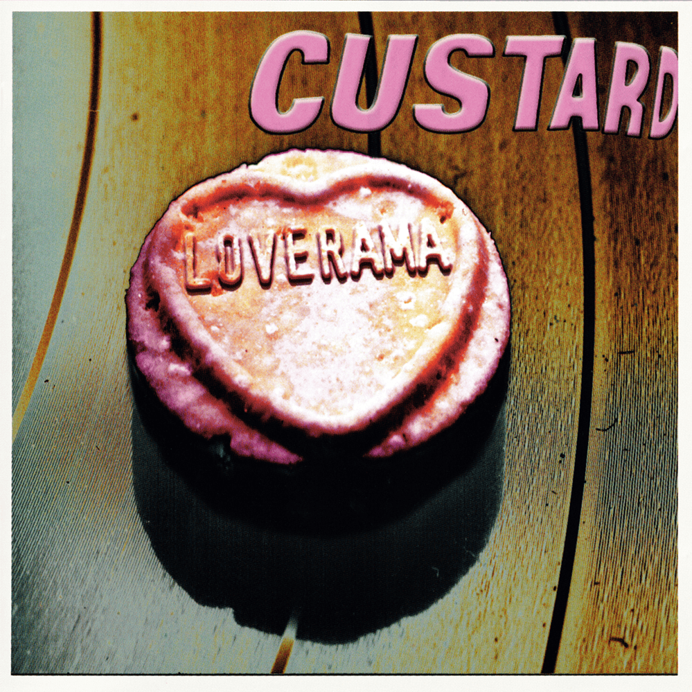 Album cover art for "Monkey" by Custard