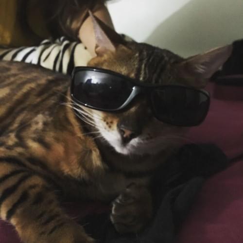 Album cover art for "Gucci" by Jacuś