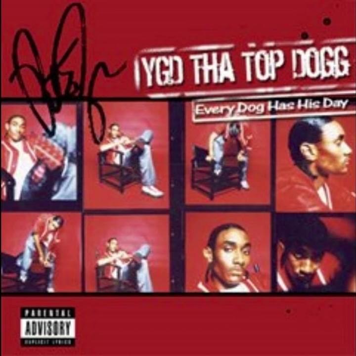 If U Can’t Take The Heat by Top Dogg