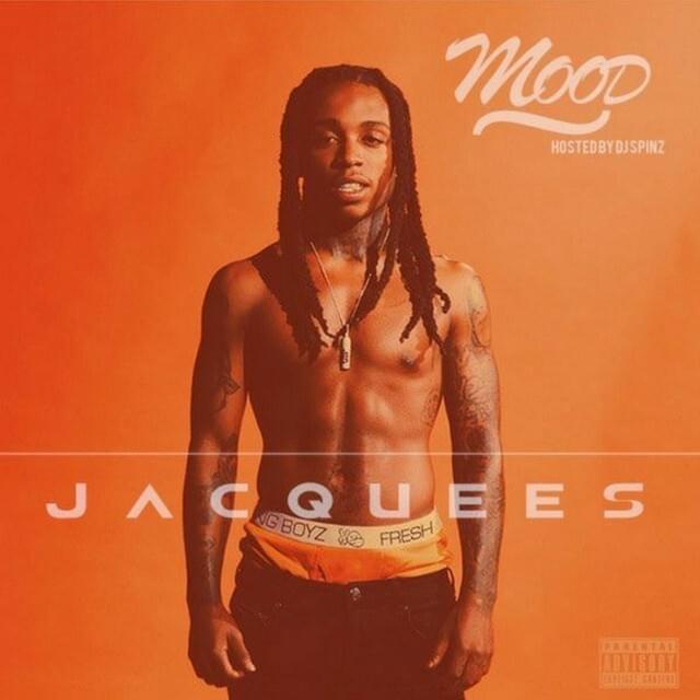 Cover image for Mood