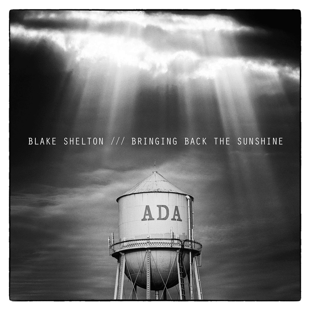 Cover image for Bringing Back the Sunshine (Expanded Edition)