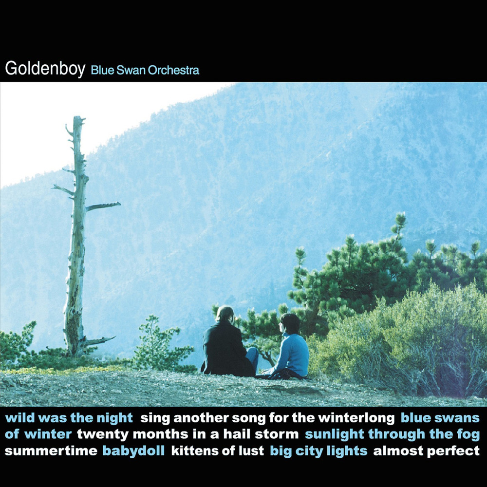 Wild Was the Night by Golden Boy