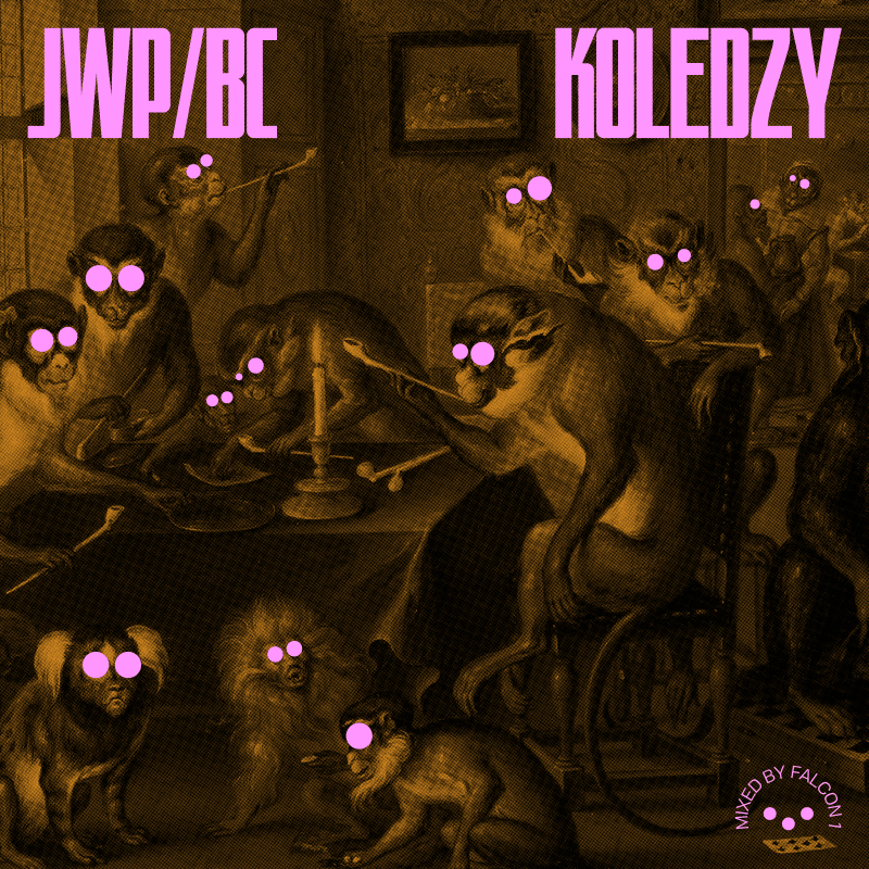 Cover image for Koledzy