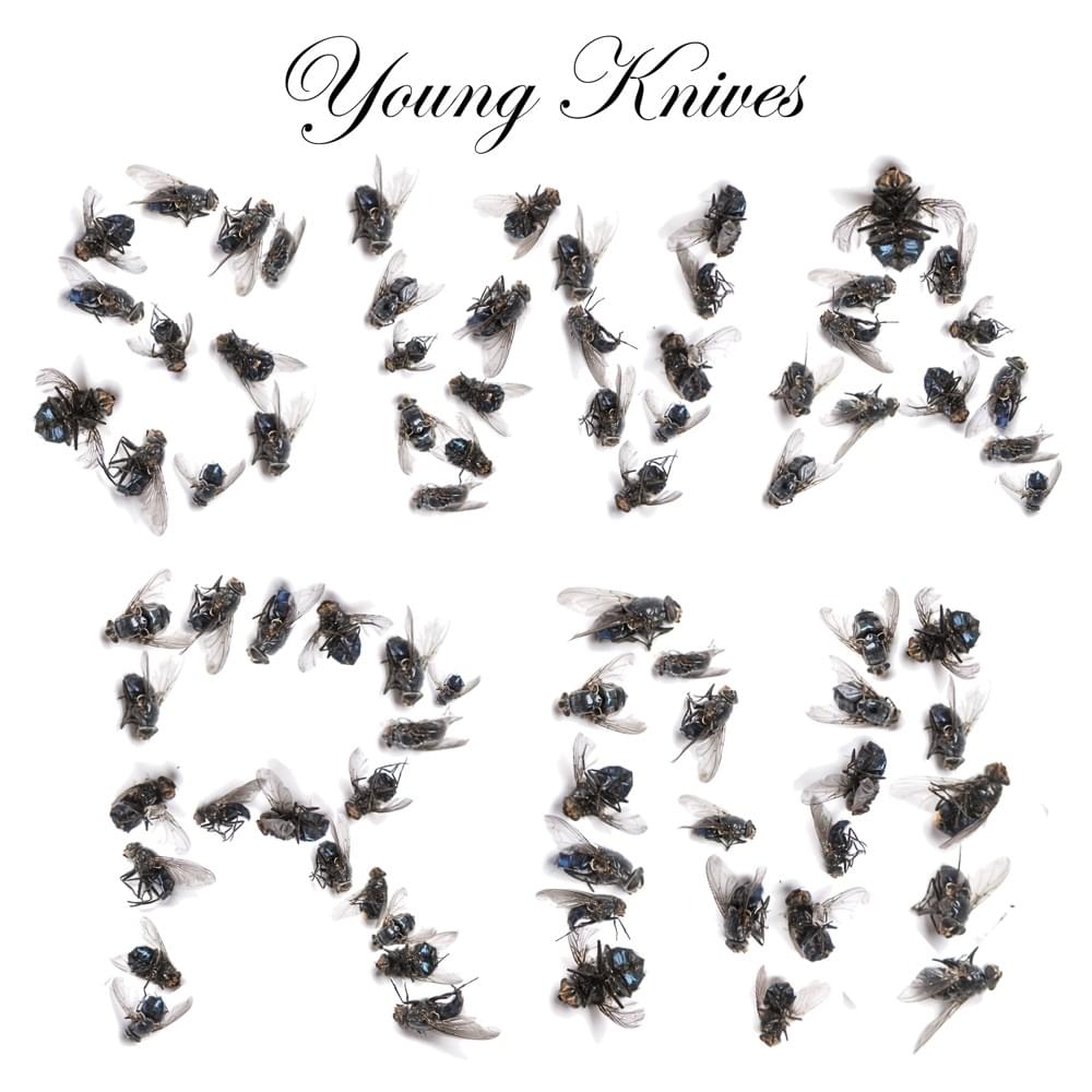 Album cover art for "Swarm" by Young Knives