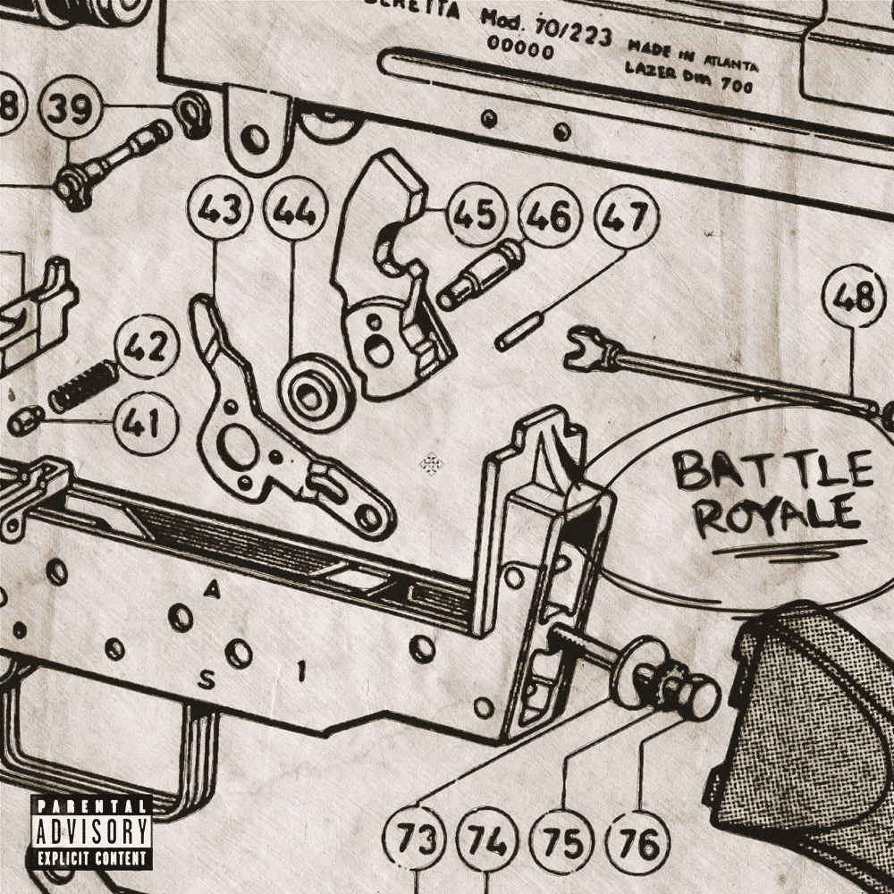 Cover image for battle royale