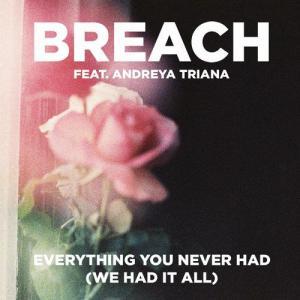 Everything You Never Had (We Had It All) by Breach (DJ)