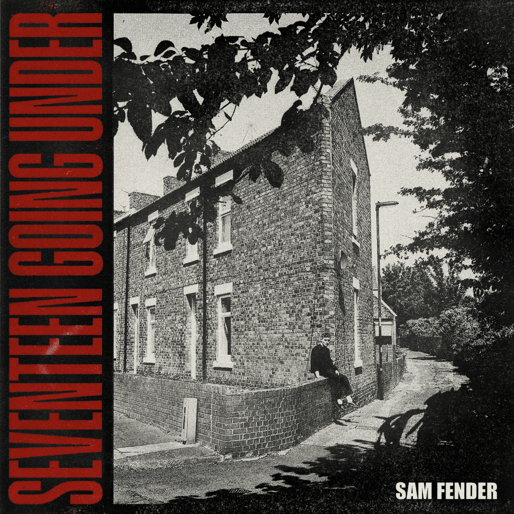 Cover image for Seventeen Going Under