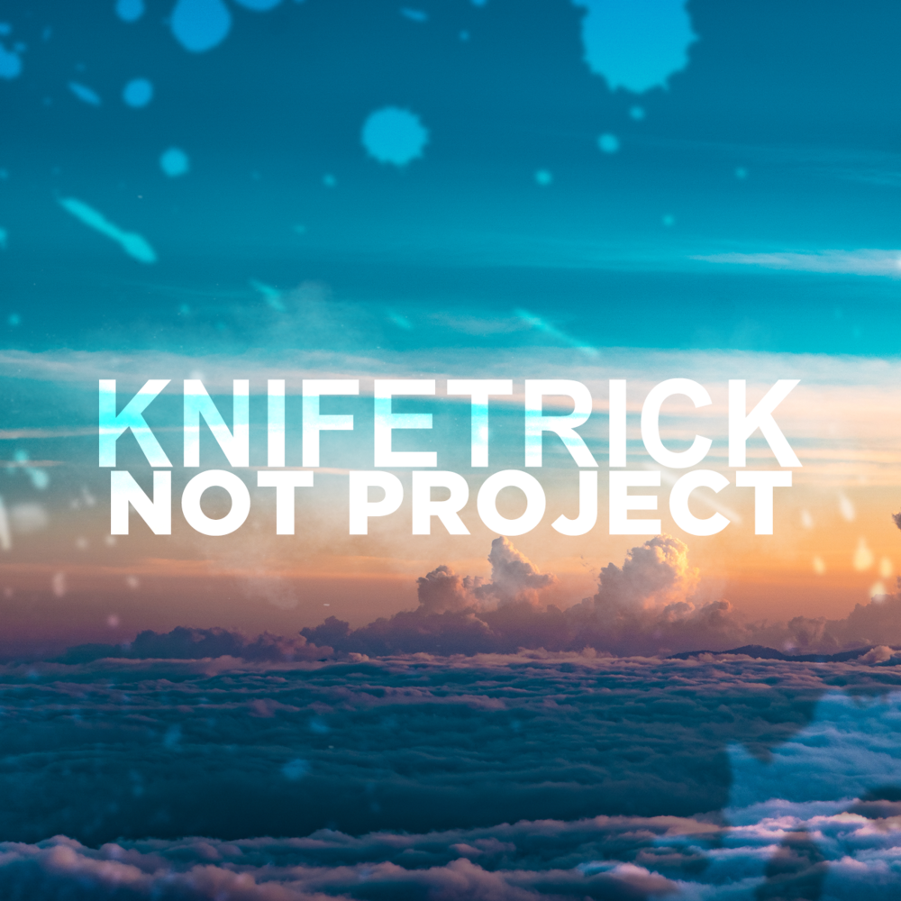 Cover image for NOT PROJECT