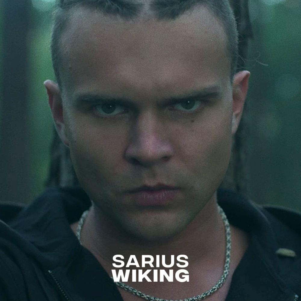 Wiking by Sarius