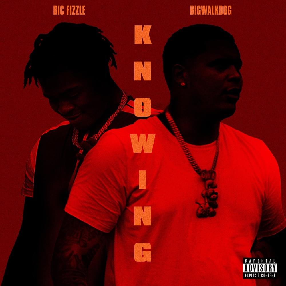 Album cover art for "Knowing" by BiC Fizzle & BigWalkDog