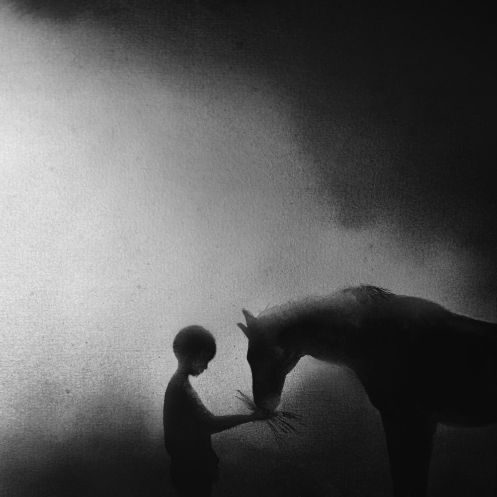 Album cover art for "Taste" by Sleeping At Last