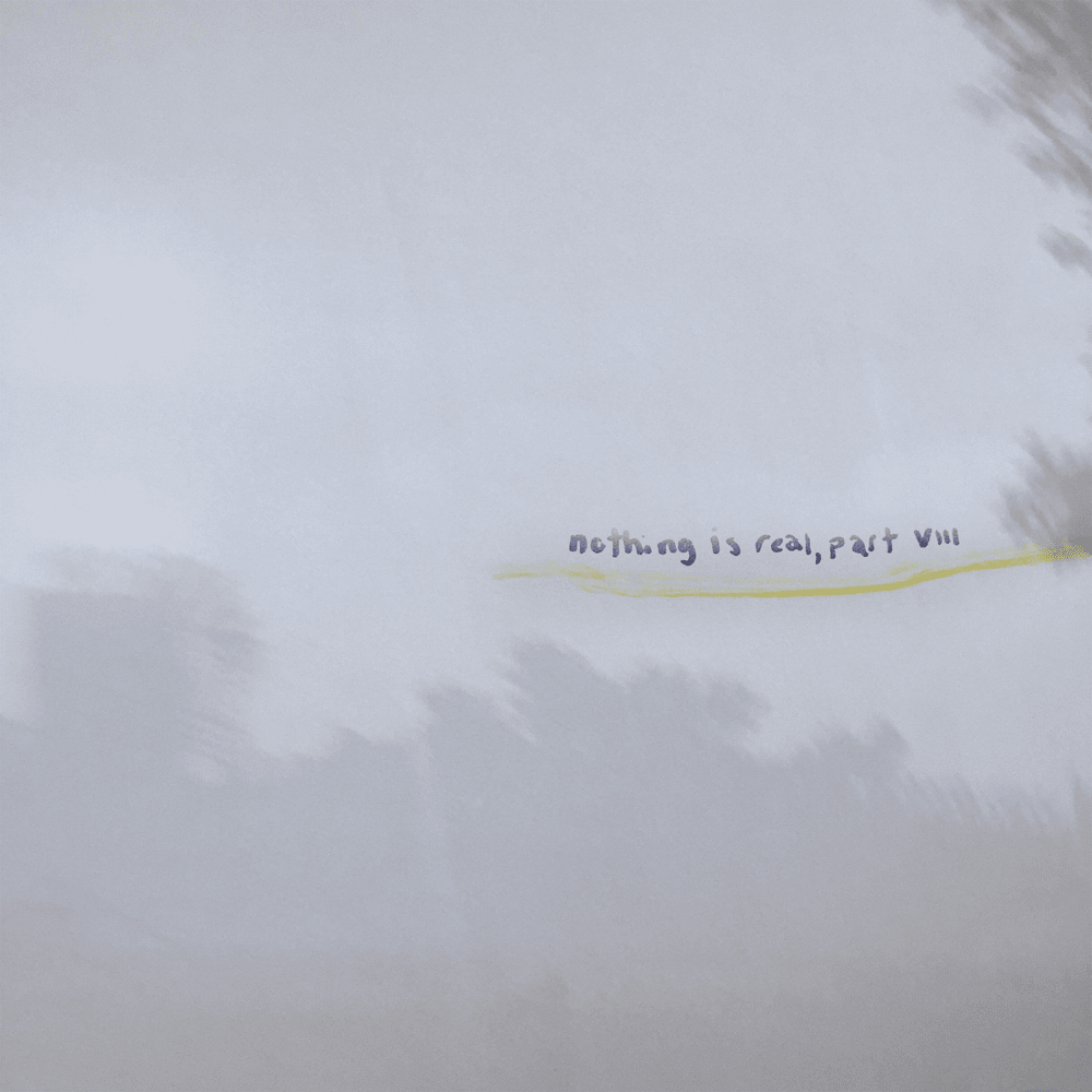 Cover image for nothing is real, part VIII