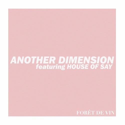 Another Dimension by Forêt De Vin