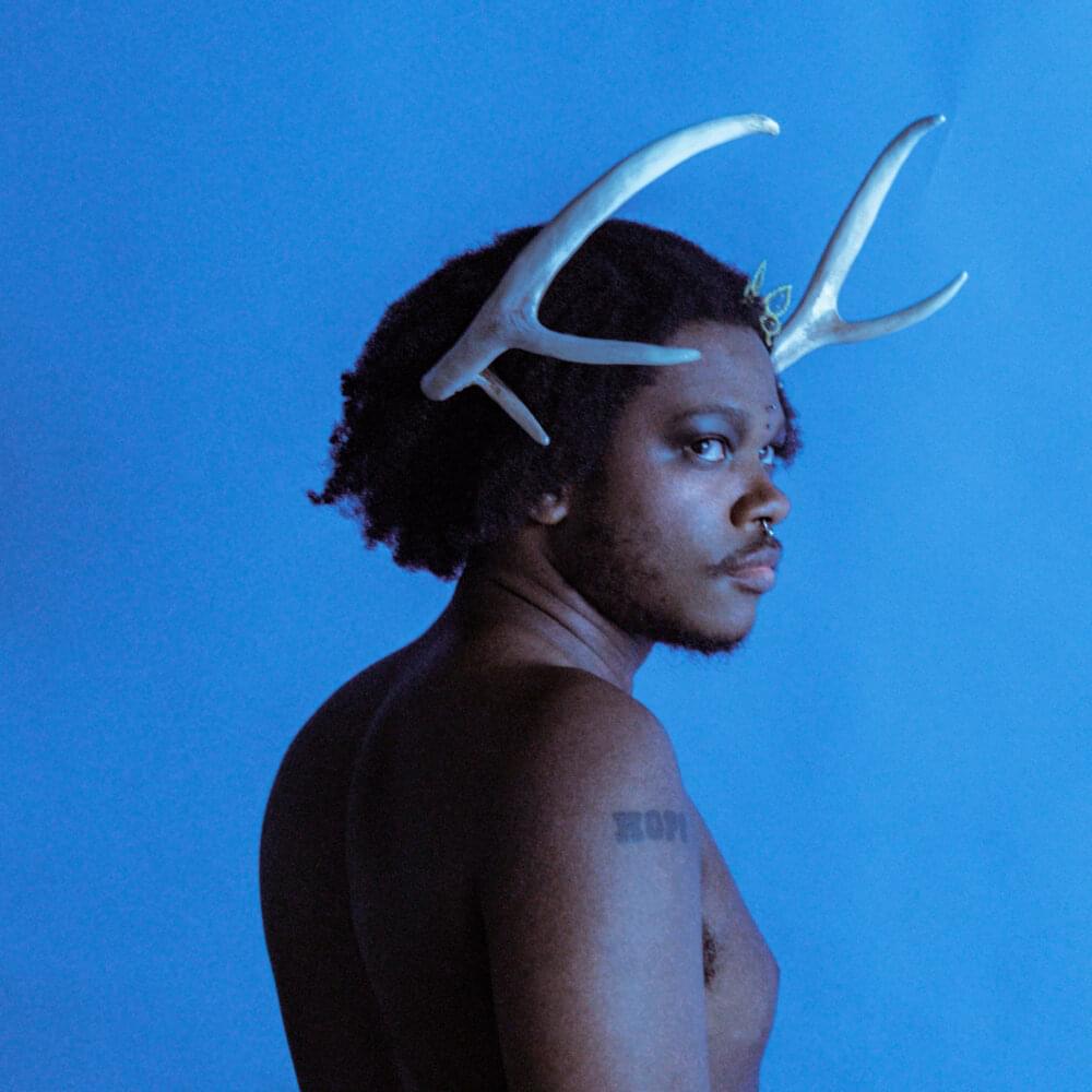 Album cover art for "Cisgender" by Shamir