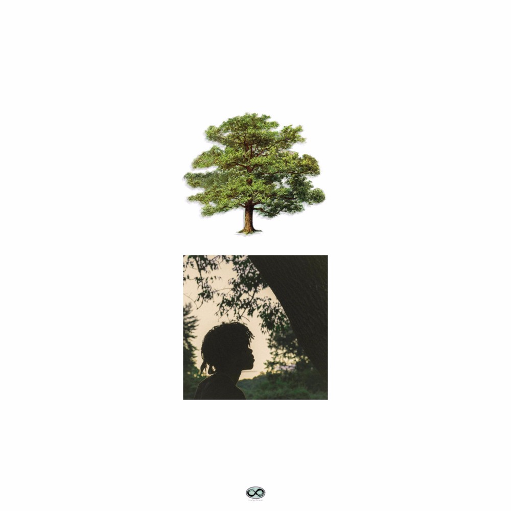 Riot by Trapo