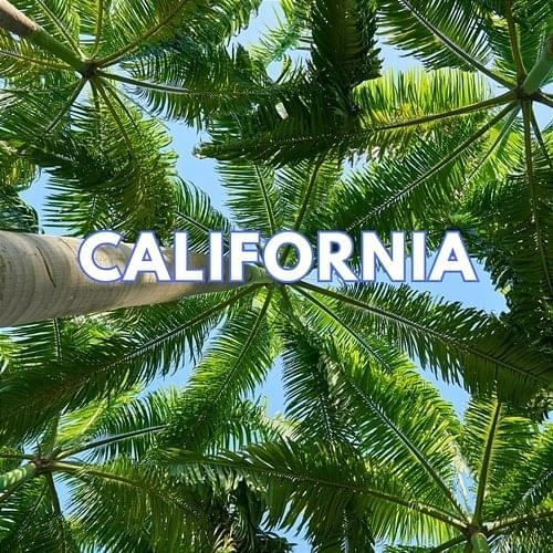 Album cover art for "California" by Dudek P56