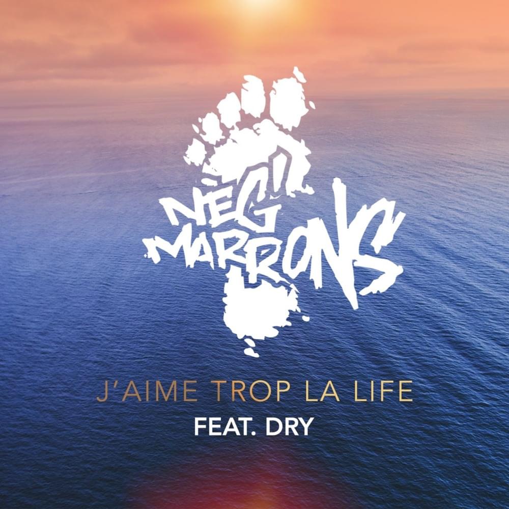 Album cover art for "J’aime trop la life" by Neg’ Marrons & Dry