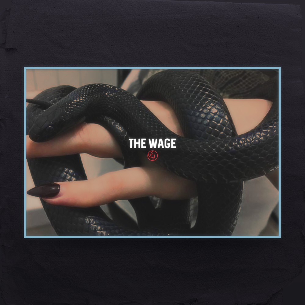 Album cover art for "The Wage" by pdr dax & JaqKel