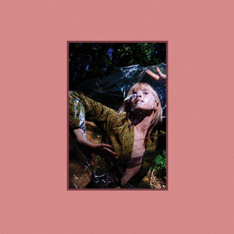 Cover image for FLOWERS for VASES / descansos & Petals for Armor Deluxe