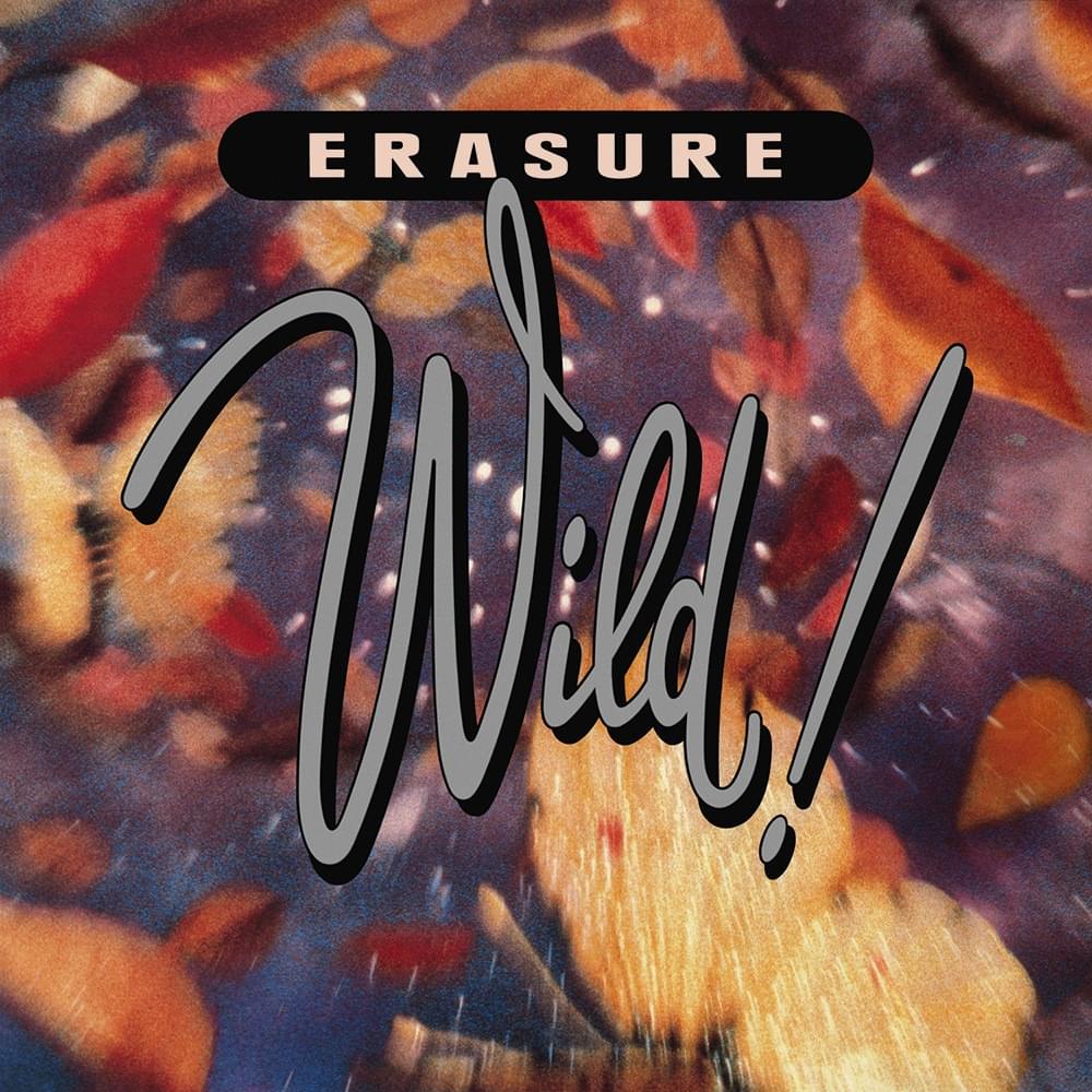 Cover image for Wild!