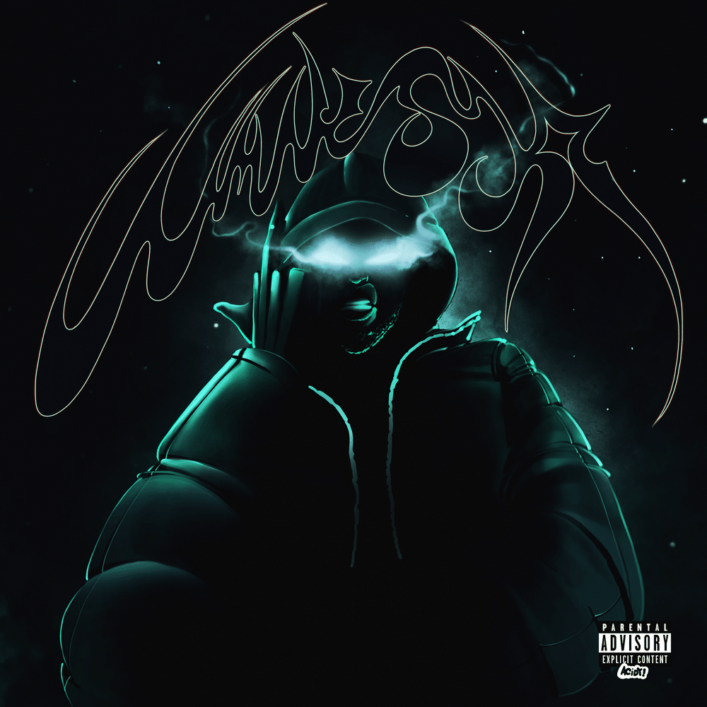 Cover image for Amnezja