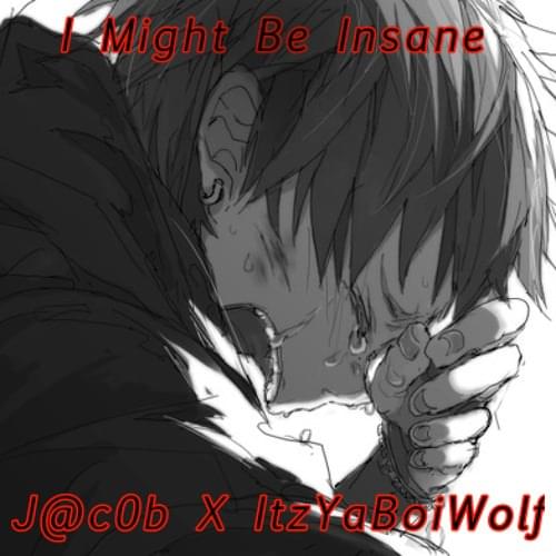 I Might Be Insane by J_c0b_Raps