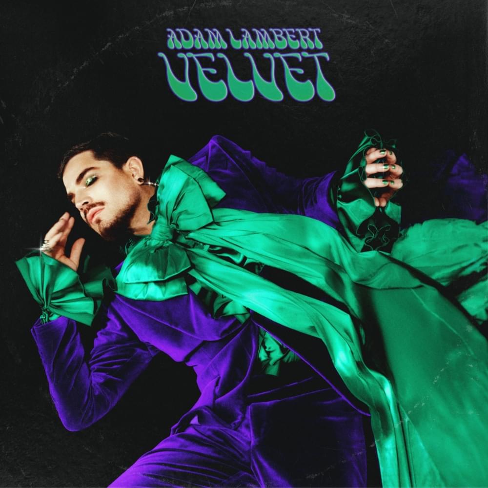 Cover image for VELVET