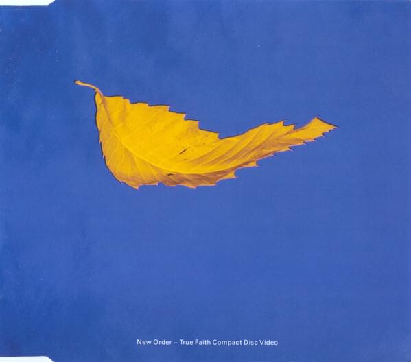 Album cover art for "Evil Dust" by New Order