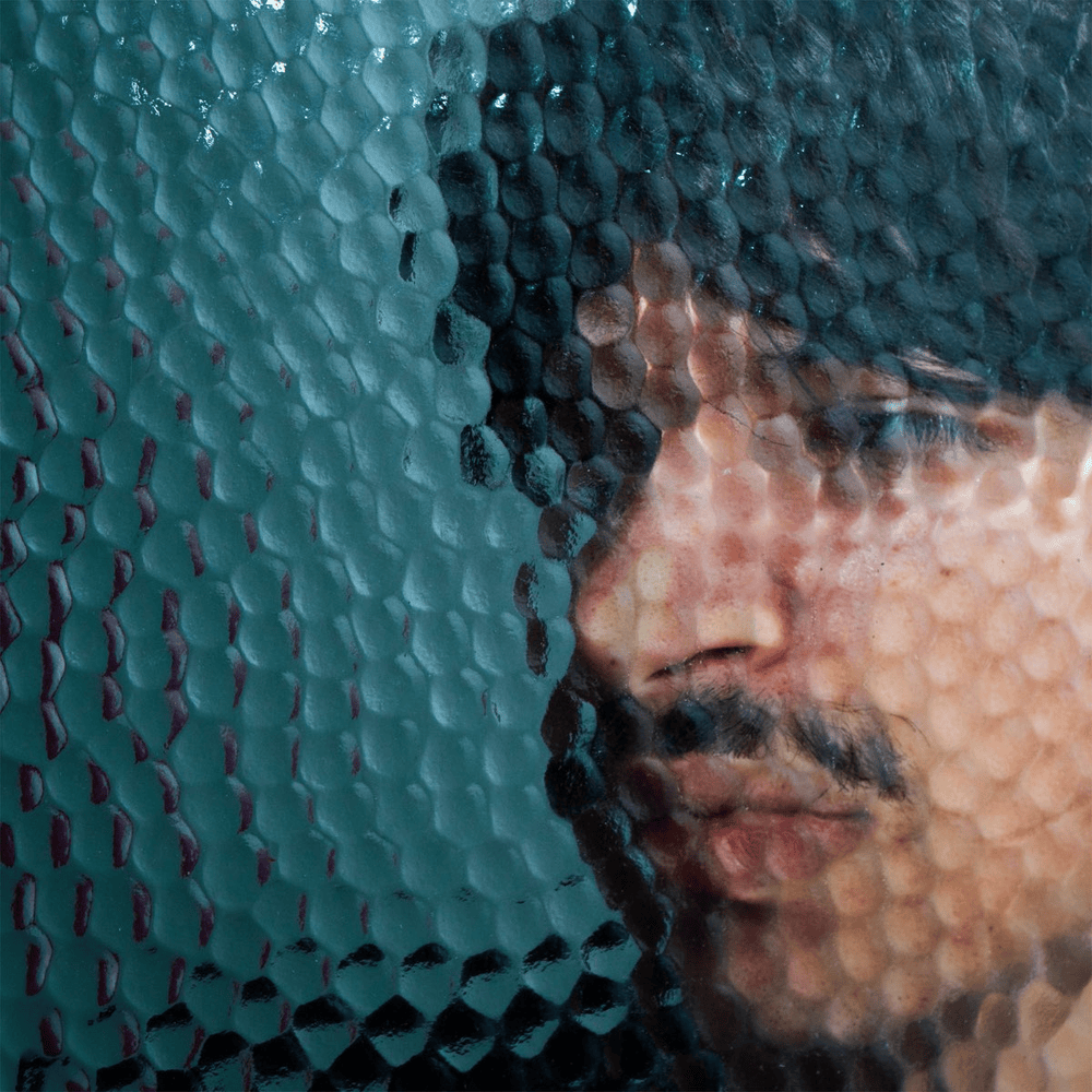 Album cover art for "Vse ti dam" by Jon Vitezič