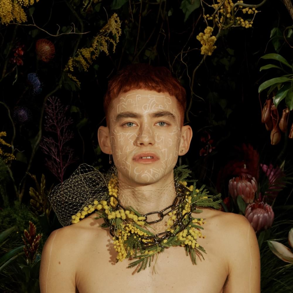 Album cover art for "Palo Santo" by Olly Alexander