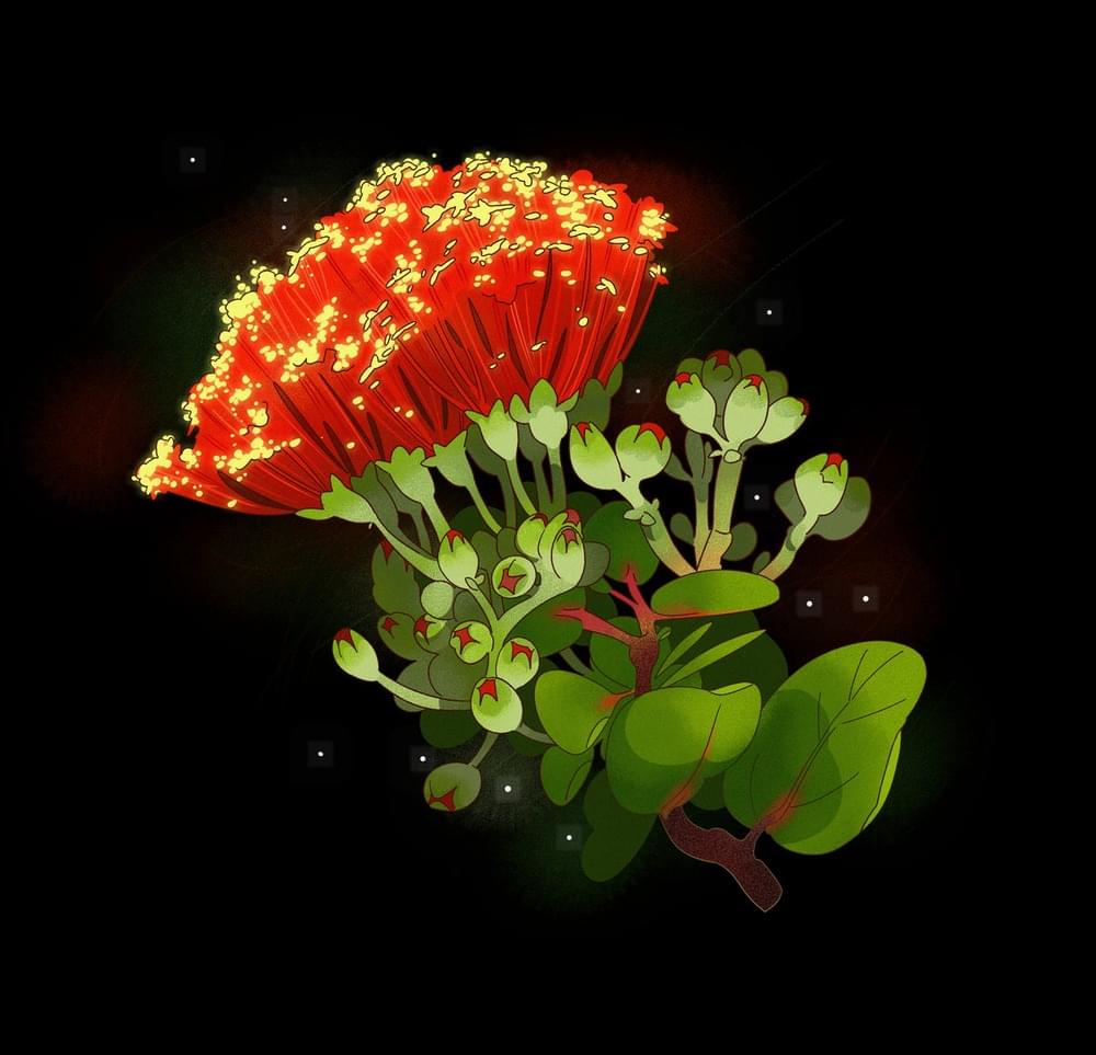 Album cover art for "Metrosideros" by ​telebasher