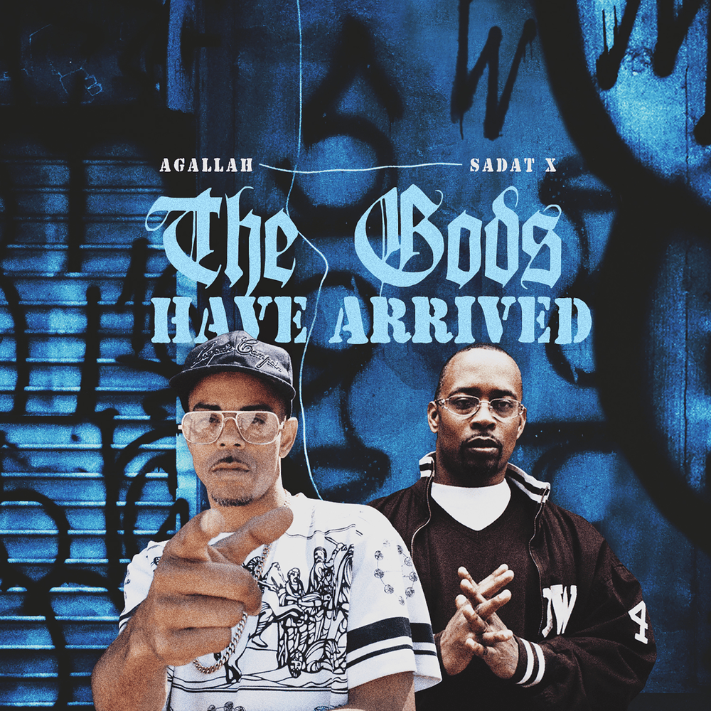 Cover image for The Gods Have Arrived