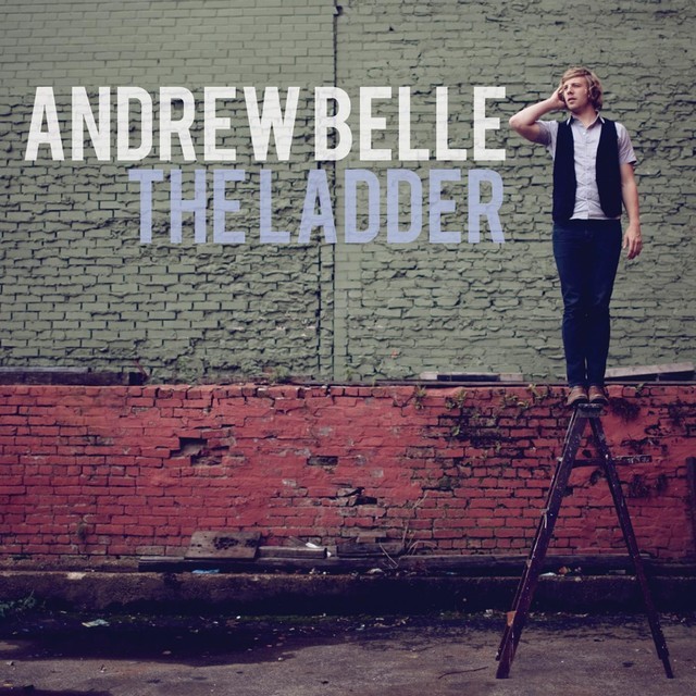 Cover image for The Ladder
