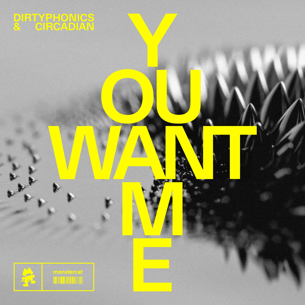 Album cover art for "You Want Me" by Dirtyphonics