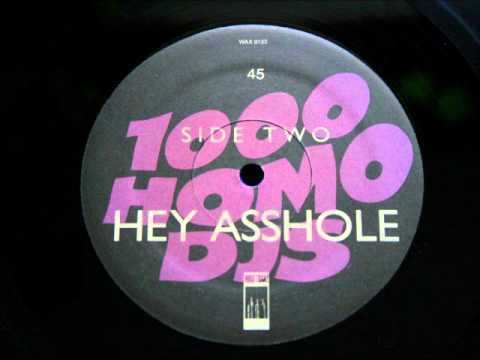 Hey Asshole by 1000 Homo DJs