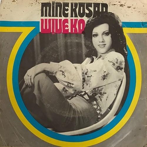 Album cover art for "Aşk Pınarı" by Mine Koşan