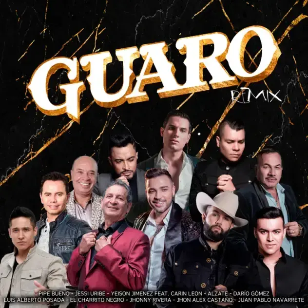 Cover image for Guaro (Remix)