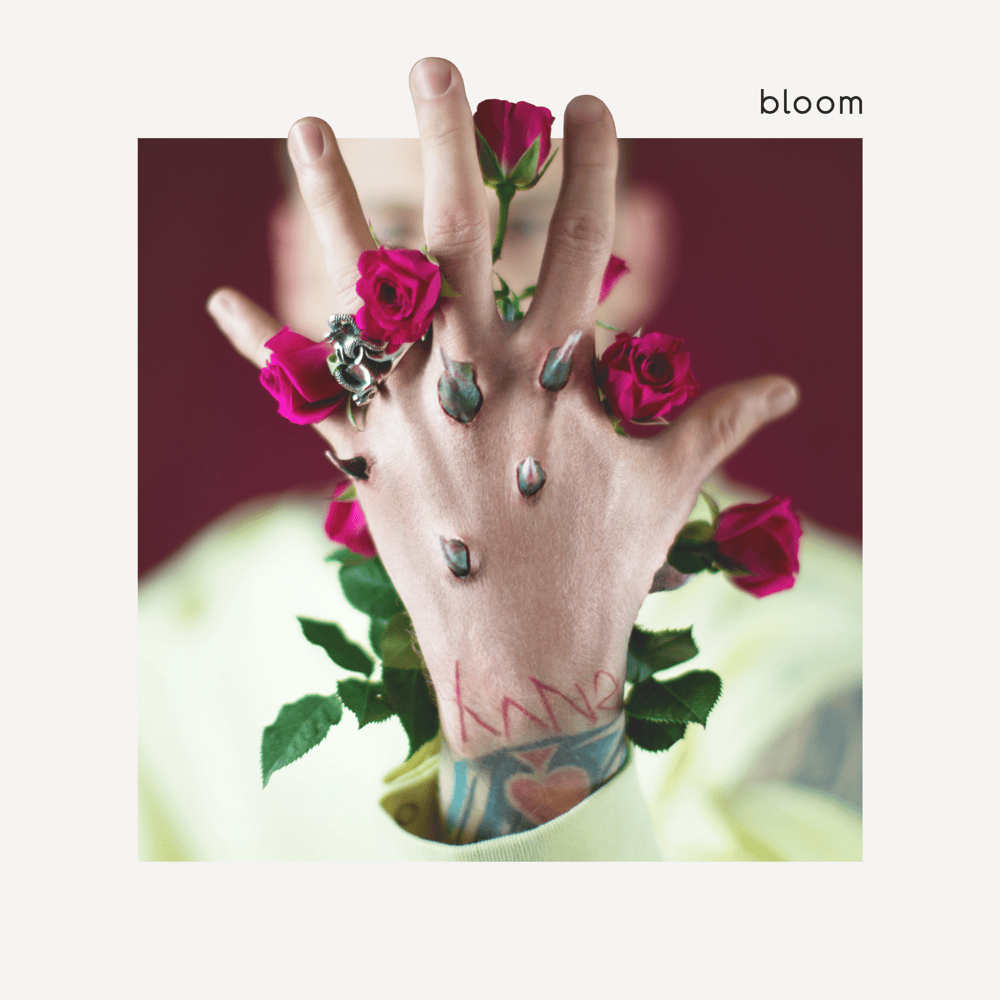 Cover image for bloom (Reissue)