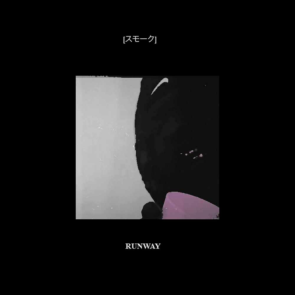Cover image for Runway