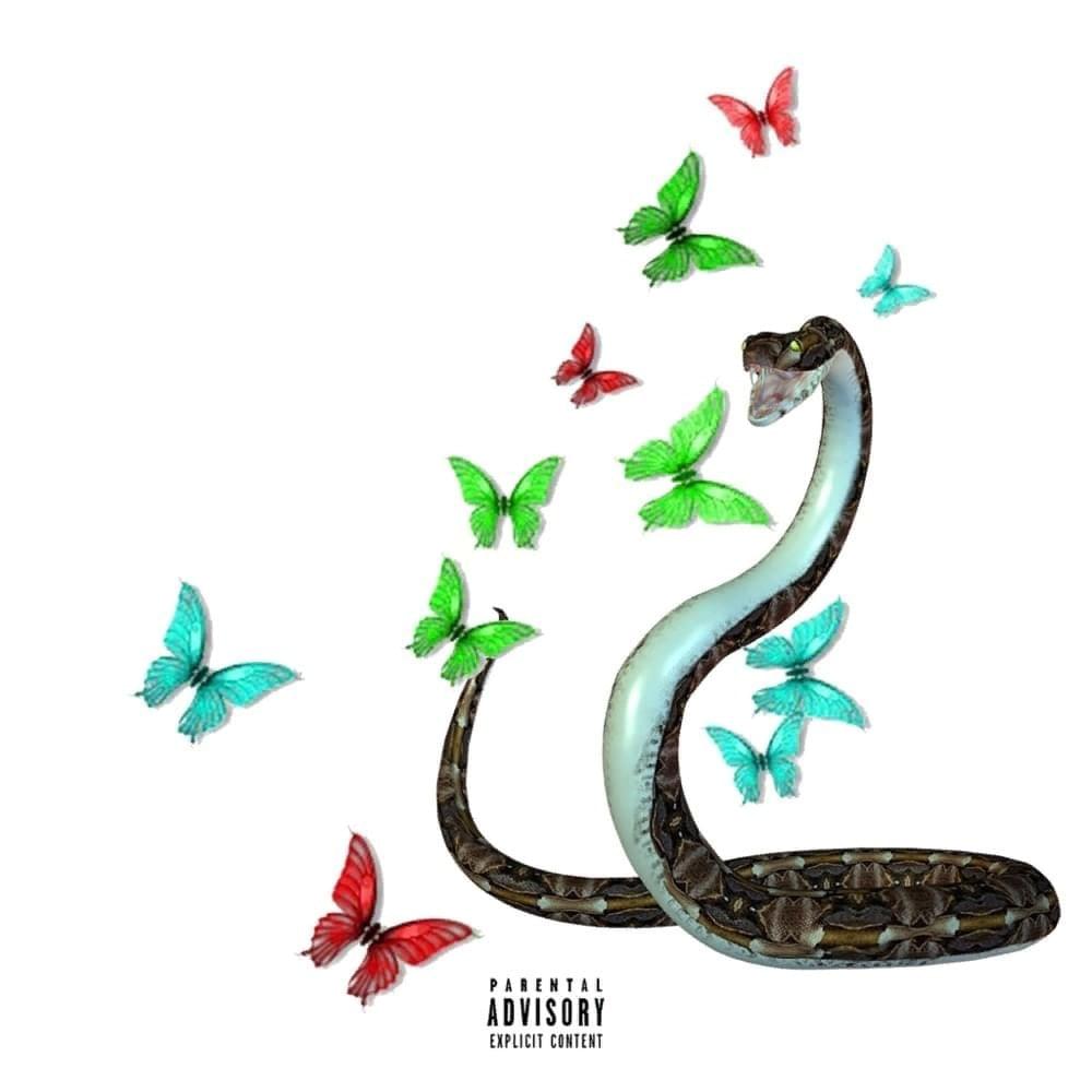 Cover image for Choppa on Me