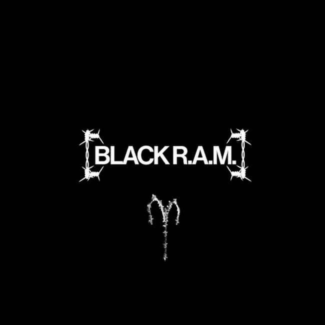 Cover image for BLACK R.A.M.