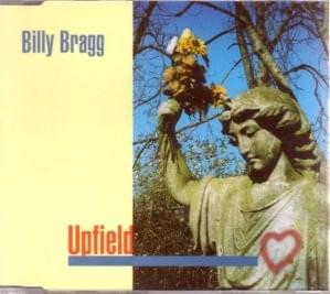 Album cover art for "Rule Nor Reason" by Billy Bragg