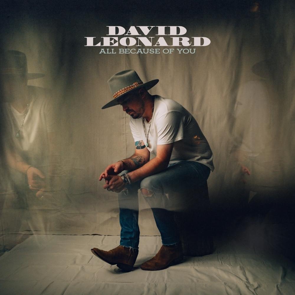Album cover art for "All Because of You" by David Leonard