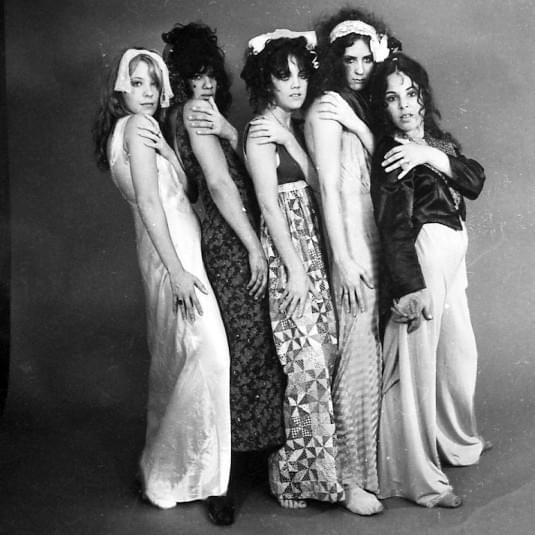 Photo of The GTOs