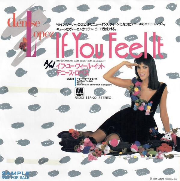 If You Feel It by Denise Lopez