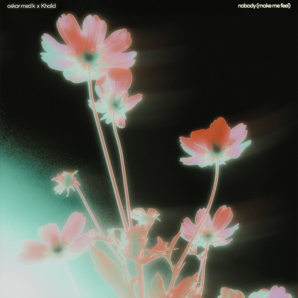 Album cover art for "nobody (make me feel)" by Khalid