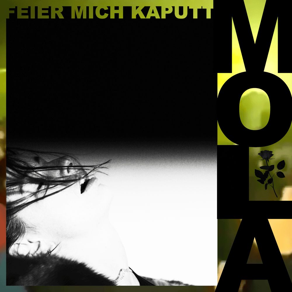 Album cover art for "Feier mich kaputt" by MOLA